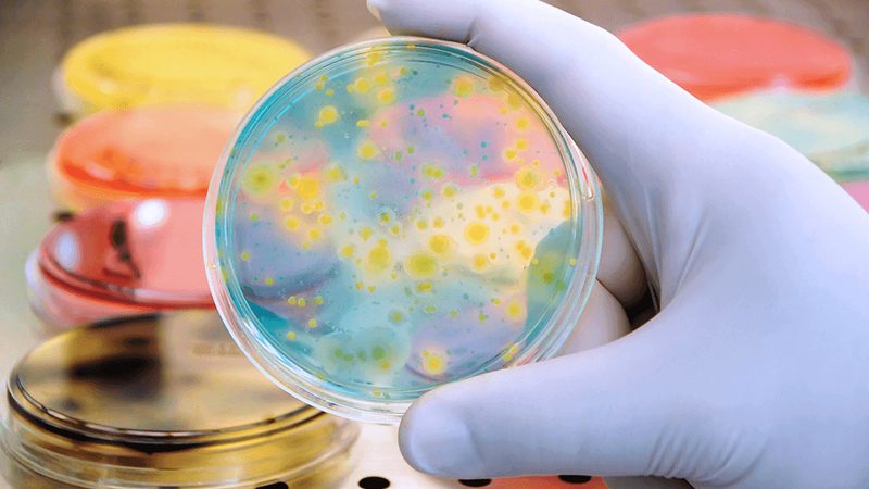 CRO：揭秘临床试验外包的关键角色