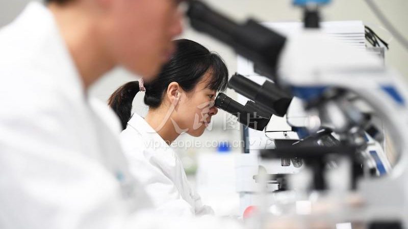 CDMO生产厂家：揭秘医药研发背后的隐形英雄
