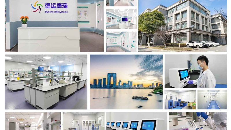 CRo与A/B测试：两种提升转化率的利器