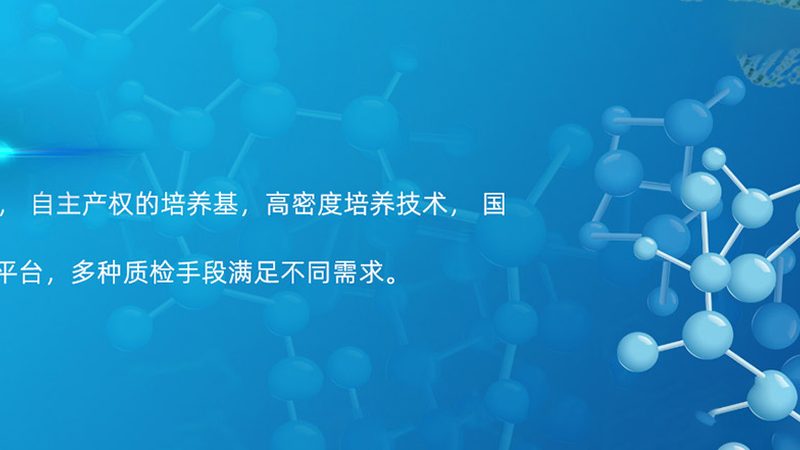 CRS与A/B测试：成本对比解析