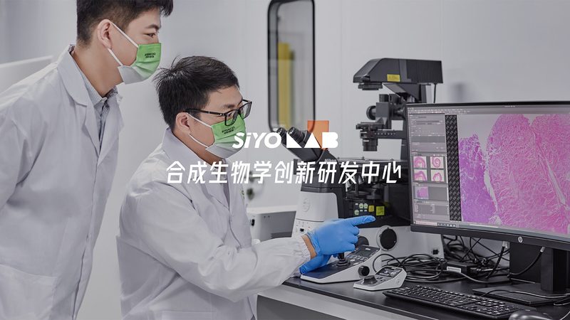 中国CDMO龙头企业合作攻略：揭秘合作共赢之道