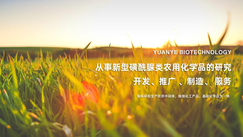 CRo工具生产厂家：揭秘医药研发背后的“隐形功臣