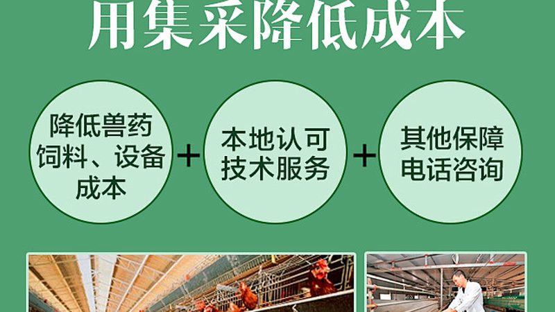 单基因病测序与全外显子测序：临床应用中的关键区别**