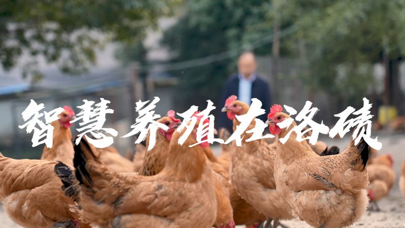 小分子CDMO价格背后的考量因素**