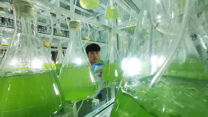逆转录试剂盒：精准科研的得力助手**